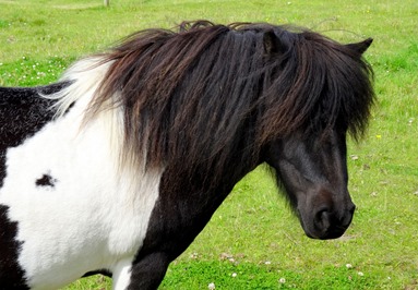 056.  Lerwick, Shetland Islands