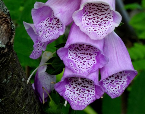 06.  Reykjavik, Iceland (Day 2)