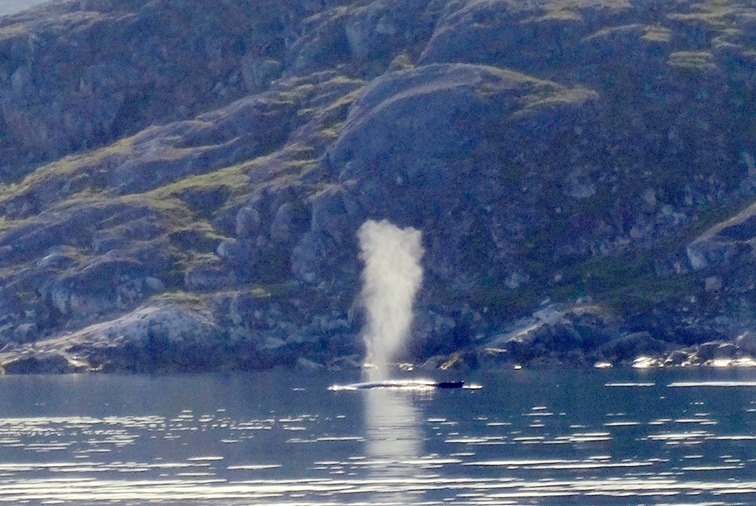 064. Qaqortoq, Greenland