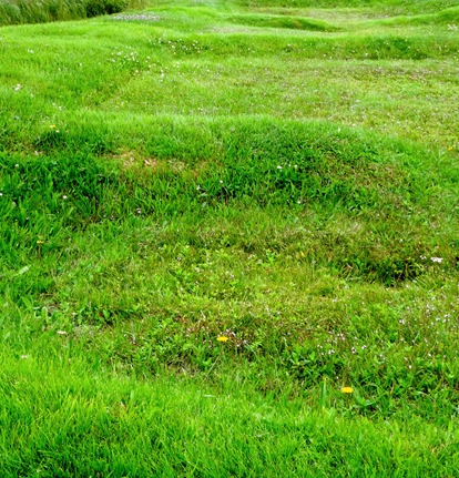 068. St. Andrews, Newfoundland