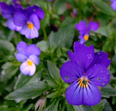 07.  Reykjavik, Iceland (Day 2)