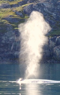 070a. Qaqortoq, Greenland