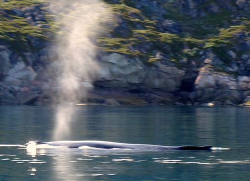 071a. Qaqortoq, Greenland