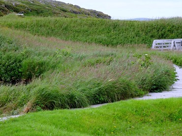 072. St. Andrews, Newfoundland