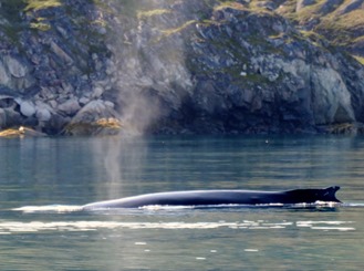 072a. Qaqortoq, Greenland