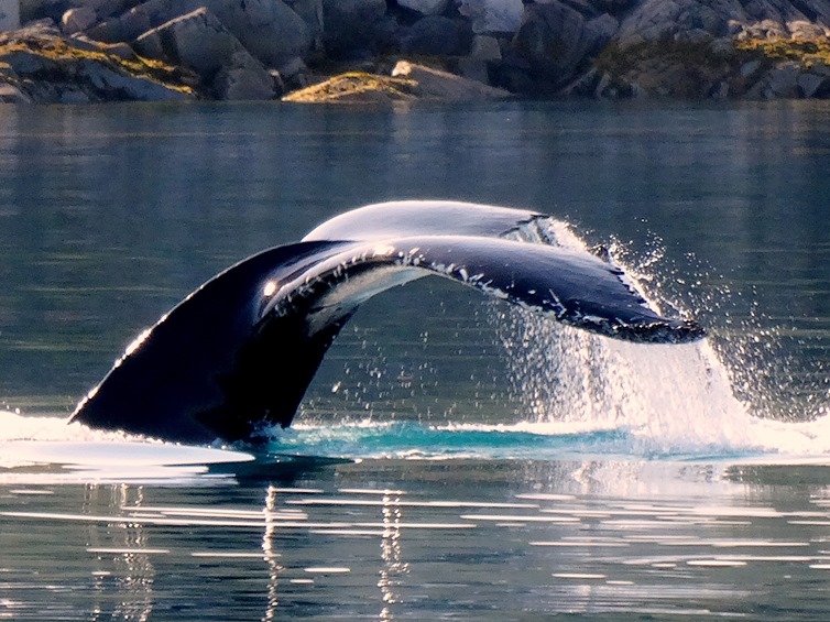 074c. Qaqortoq, Greenland