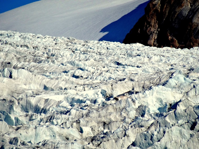079. Prince Christian Sund, Greenland