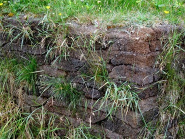 085. St. Andrews, Newfoundland