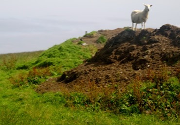 104.  Lerwick, Shetland Islands