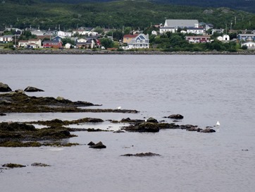 105. St. Andrews, Newfoundland