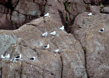 124. St Johns, Newfoundland