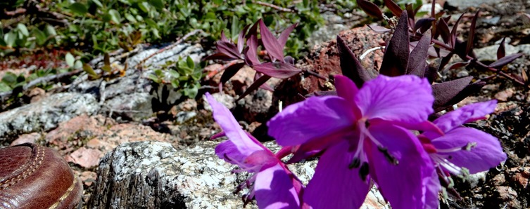 133. Qaqortoq, Greenland