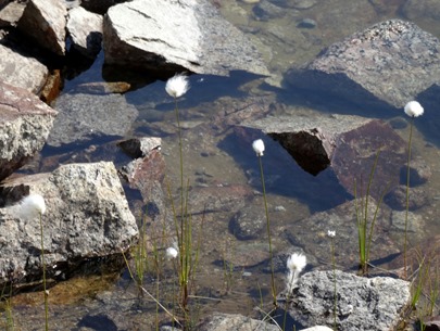 141. Qaqortoq, Greenland