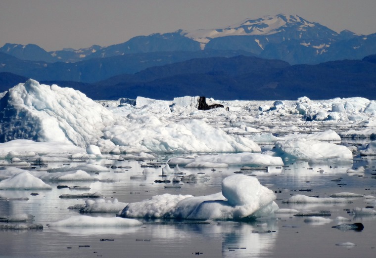 167. Qaqortoq, Greenland