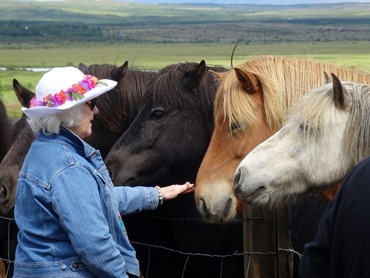 174. Reykjavik, Iceland (Day 1)