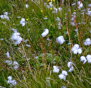 20. Djupivogur, Iceland