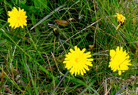 22. Djupivogur, Iceland