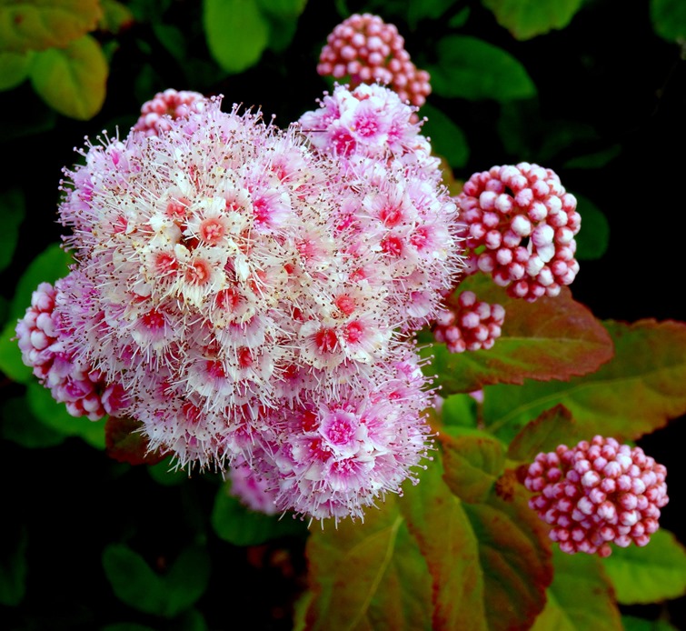 29.  Reykjavik, Iceland (Day 2)