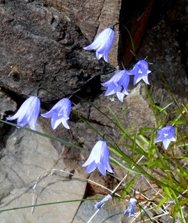 48. Djupivogur, Iceland