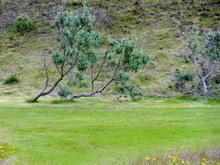 57. Djupivogur, Iceland