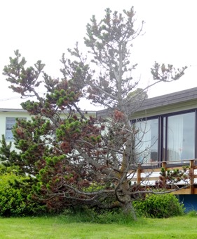 58. Djupivogur, Iceland