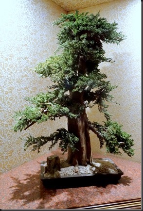 28.-At-Sea-on-Amsterdam_thumb1