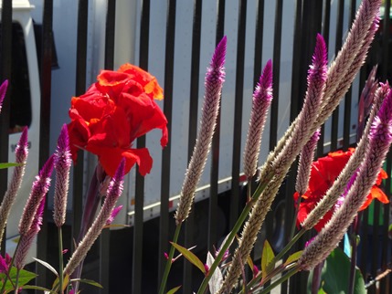 53. Puerto Limon, Costa Rica