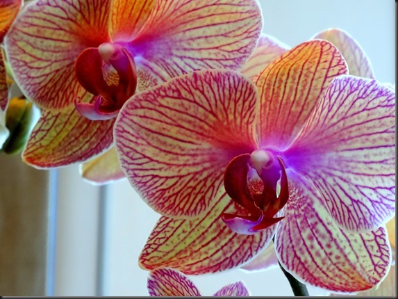 95.-Panama-City-Panama_thumb4