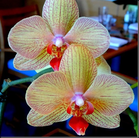 96.-Panama-City-Panama_thumb2