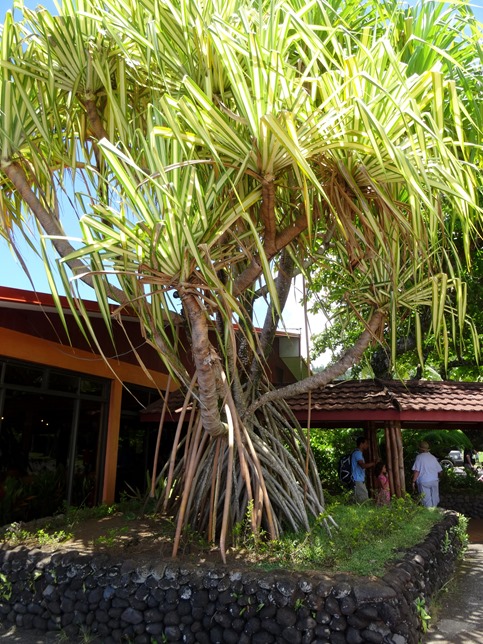 103. Papeete, Tahiti