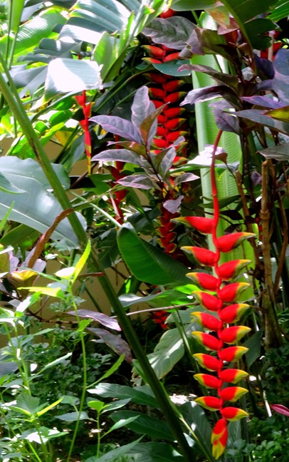 105. Papeete, Tahiti