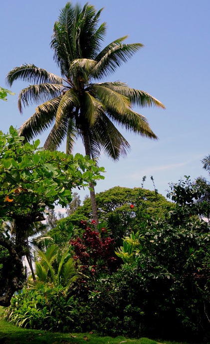 107. Papeete, Tahiti