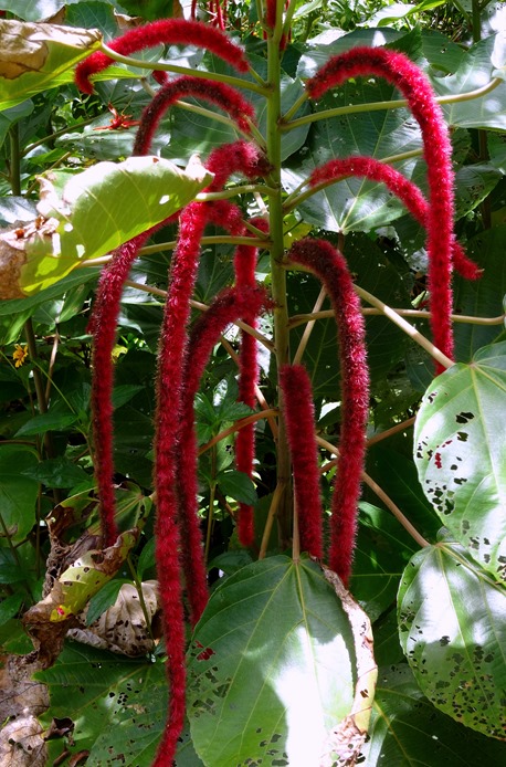 112. Papeete, Tahiti