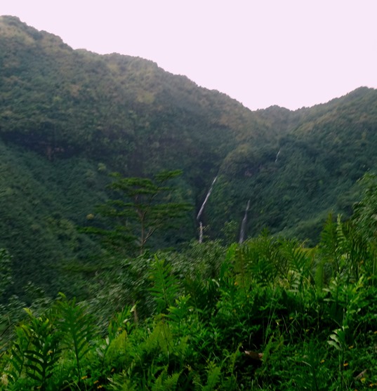 113. Nuku Hiva, Marquesa Islands