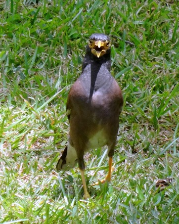 119. Papeete, Tahiti