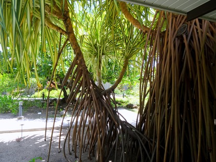 132. Papeete, Tahiti