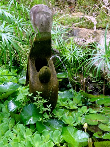 137.  Opunohu Bay, Moorea