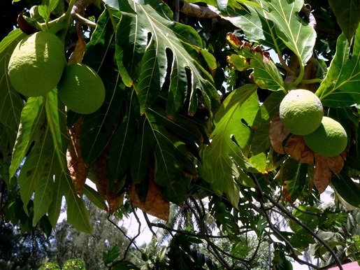 142. Papeete, Tahiti