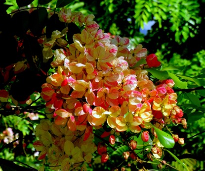 148. Papeete, Tahiti