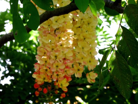 149. Papeete, Tahiti