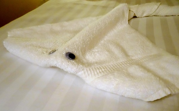 15. At Sea on Amsterdam