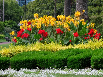 15. Aukland, New Zealand