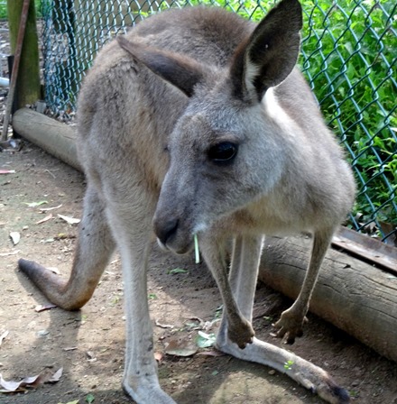 151. Sydney, Australia  (Day 1)