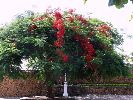 154. Papeete, Tahiti