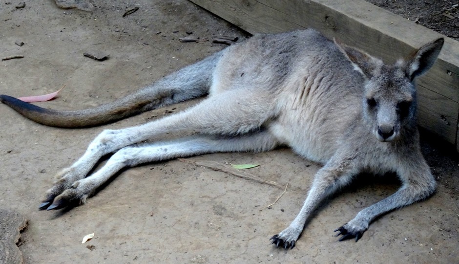 160. Sydney, Australia  (Day 1)