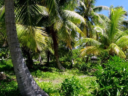 161. Rangiroa