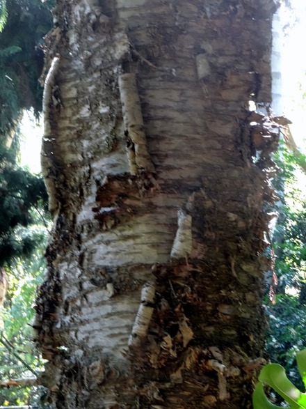 165. Sydney, Australia  (Day 1)