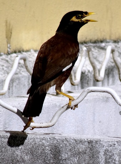 169. Papeete, Tahiti