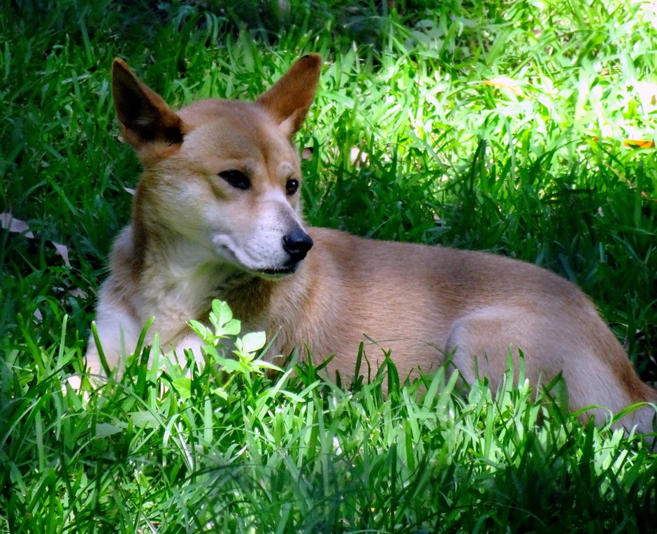 170. Sydney, Australia  (Day 1)