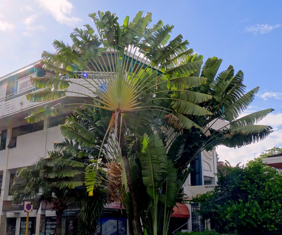 172. Papeete, Tahiti